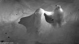 Snow City by Liang Shaoji contemporary artwork photography