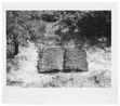 Book-Field by Mirella Bentivoglio contemporary artwork Print