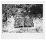 Book-Field by Mirella Bentivoglio contemporary artwork print