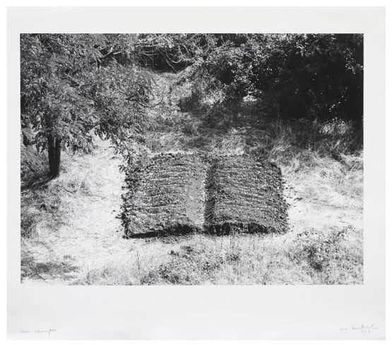 Book-Field by Mirella Bentivoglio contemporary artwork Print
