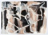 Cage Syria map variations by Fiona Hall contemporary artwork works on paper
