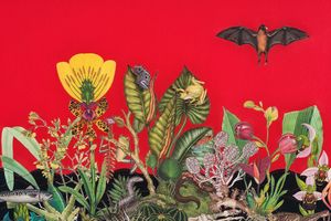 Group Exhibition