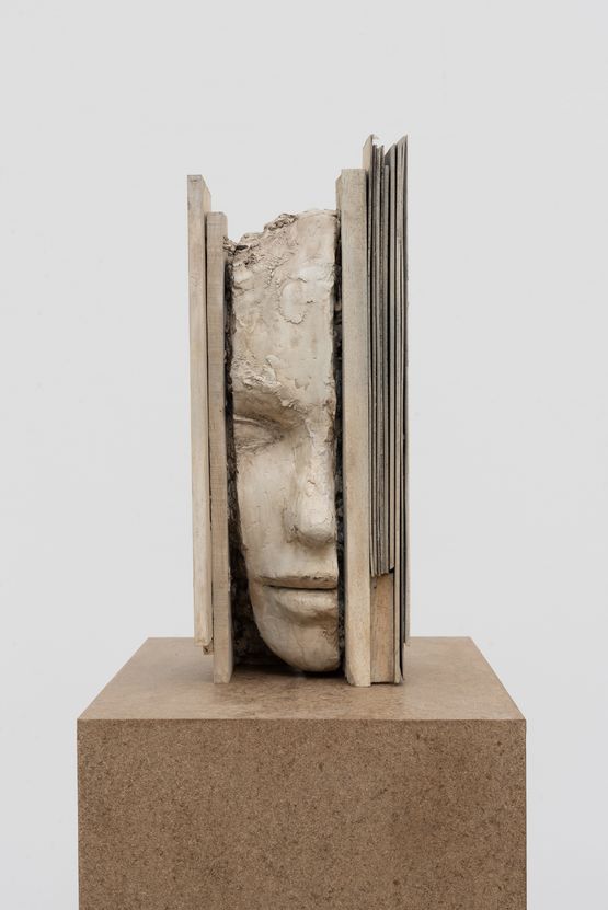 Composition with White Verticals by Mark Manders contemporary artwork Sculpture