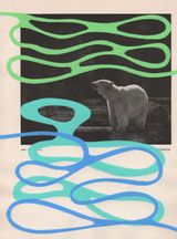 AMERICAN PHOTO JOURNAL POSCA 105 POLAR BEAR by Jeff Ross contemporary artwork painting