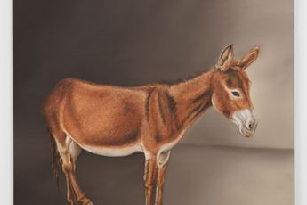 Robert Davis contemporary artist