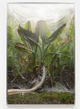 We Were All Naked Elephant Ear by Julius Von Bismarck contemporary artwork photography