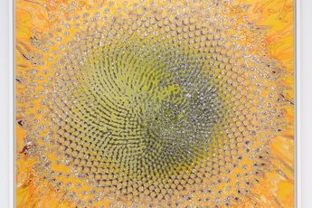 Aziz  Cucher contemporary artist