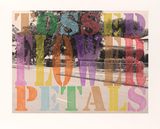 Surburban No 1. Tossed Flower Petals by Tracey Moffatt contemporary artwork painting