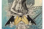 Swoon contemporary artist