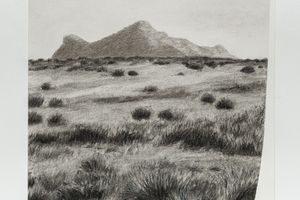 Muhanned Cader