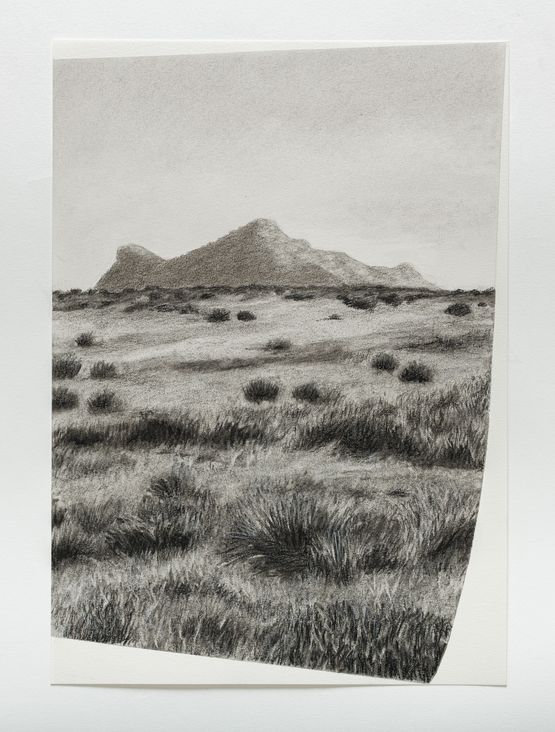 Horton plains 4 by Muhanned Cader contemporary artwork Works on Paper