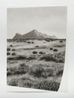 Horton plains 4 by Muhanned Cader contemporary artwork Works on Paper