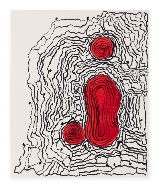 Untitled from Filogeneticos Phylogenetics series by Anna Maria Maiolino contemporary artwork Works on Paper