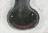Duende 2 by Kaneko Tomiyuki contemporary artwork painting works on paper