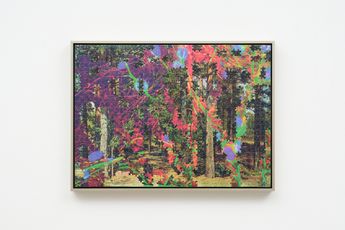 Contemporary art exhibition Zac Langdon-Pole Caterpillar Soup at Lett Thomas Karangahape Road New Zealand