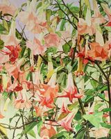 Datura by Yuan Yuan contemporary artwork painting