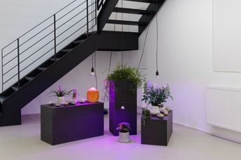 Contemporary art exhibition Gailan Ngan Volumes  Curated by Lee Plested at Galerie Christian Lethert Cologne Germany