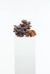 Putting you first by Driaan Claassen contemporary artwork sculpture