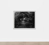 Untitled The Light on the Trail by Dawoud Bey contemporary artwork photography