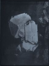 Exotime 06 by Hugo Deverchere contemporary artwork print