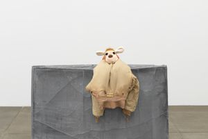 Liz Magor