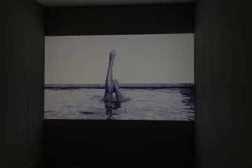 Giovanni Ozzola contemporary artist