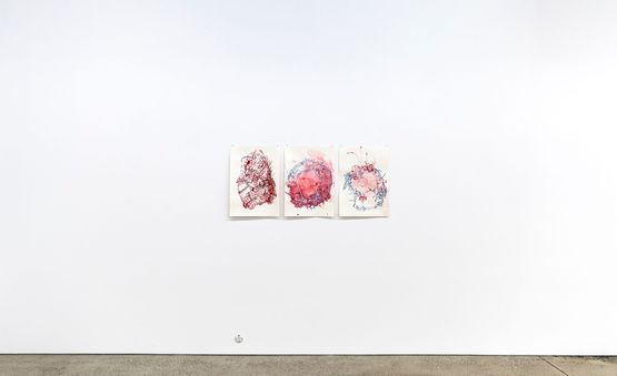 Bio Techno Imaginations by Alicia Frankovich contemporary artwork Works on Paper