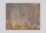 Weeds at Sundown by Diana Cepleanu contemporary artwork painting