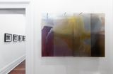planetary gardening reflected by Janet Laurence contemporary artwork painting