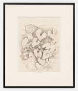 Leaves by Alice Neel contemporary artwork drawing works on paper