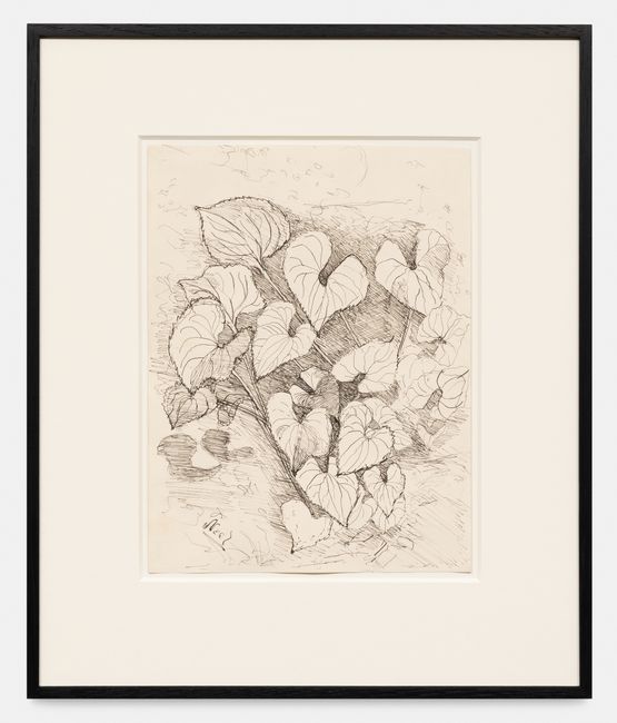 Leaves by Alice Neel contemporary artwork Works on Paper