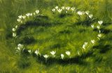 Circle by Maryam Yusifaliyeva contemporary artwork painting