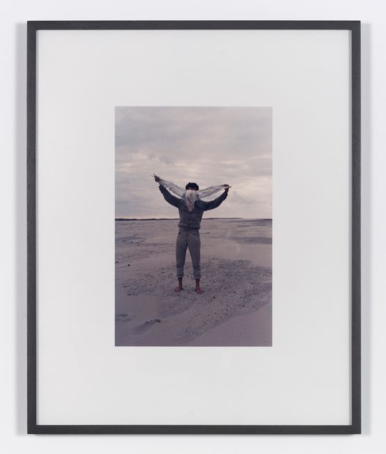 Albatros by Lothar Baumgarten contemporary artwork Photography