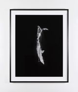 Overlap Merge by Dorothy Cross contemporary artwork print