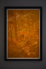 Is of Mt. Seorak-02 by Beak Jungki contemporary artwork painting works on paper sculpture photography print