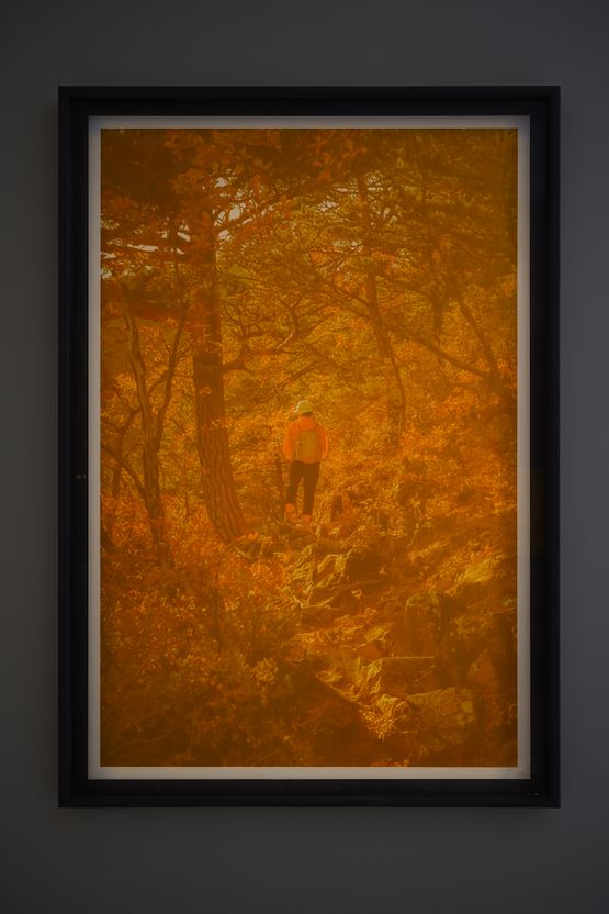 Is of Mt. Seorak-02 by Beak Jungki contemporary artwork Painting