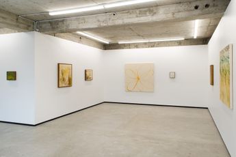 Contemporary art exhibition Ruby Wilkinson Sun room at Jhana Millers Wellington New Zealand