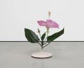 Hibiscus by Kei Imazu contemporary artwork Sculpture