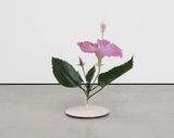 Hibiscus by Kei Imazu contemporary artwork sculpture
