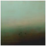 Trees by Richard Whadcock contemporary artwork painting