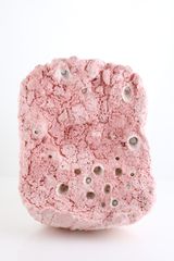 Liminal entity 1 by Savia Mahajan contemporary artwork sculpture