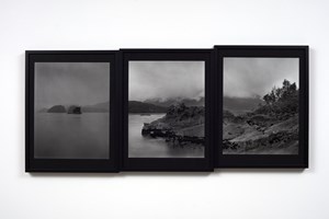 Mark Adams
