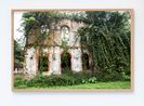 Facade by Monica De Miranda contemporary artwork Photography