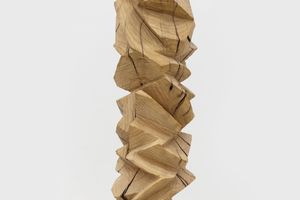 Yang Xinguang