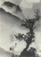 Symbol of Longevity by Lang Jingshan contemporary artwork photography