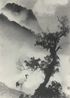 Symbol of Longevity by Lang Jingshan contemporary artwork Photography