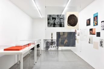 Contemporary art exhibition Tacita Dean Monet Hates Me at Galerie Marian Goodman Paris France