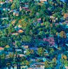 Green by Seth Armstrong contemporary artwork Painting