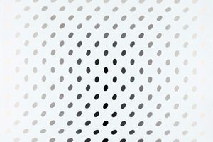 Bridget Riley