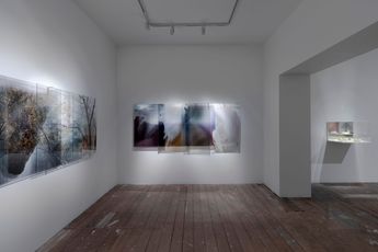 Contemporary art exhibition Janet Laurence Alchemical Gardening at Cassandra Bird Sydney Australia